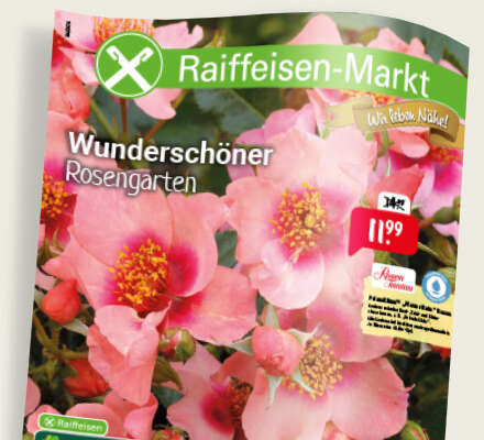 Garten prospekt